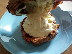IMG_20161106_152745.jpg