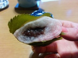 IMG_20161218_154619.jpg