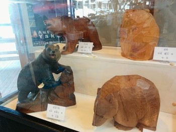 IMG_20170318_110414.jpg