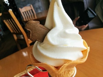 IMG_20170429_160901.jpg