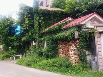 IMG_20170811_093235.jpg